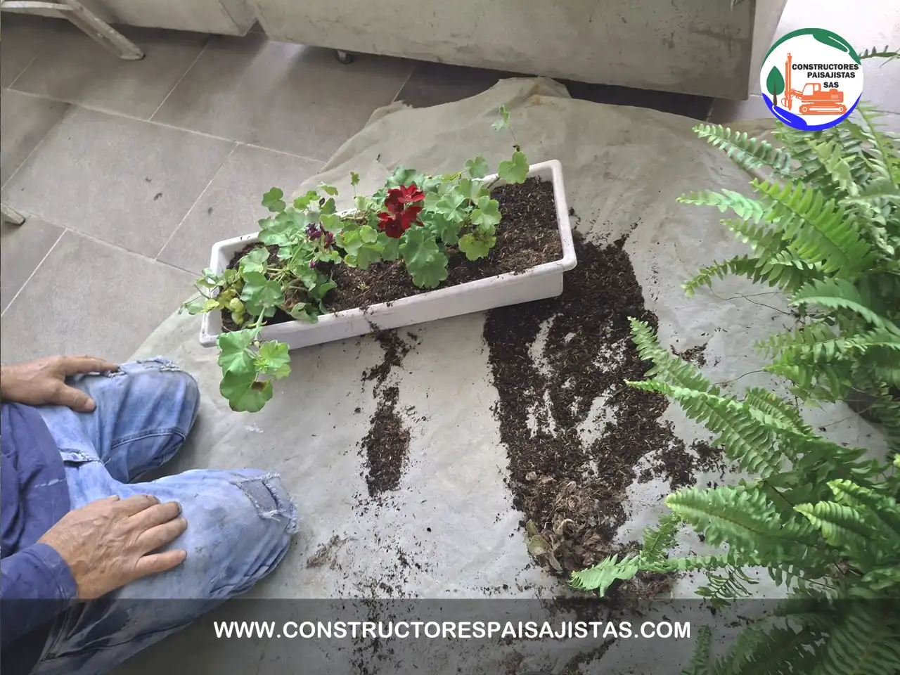 construcción de jardines